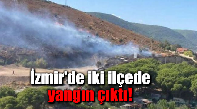 İzmir'de iki ilçede yangın çıktı