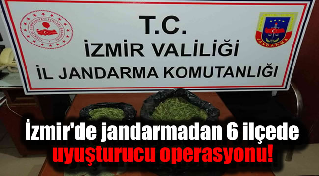İzmir'de jandarmadan 6 ilçede uyuşturucu operasyonu