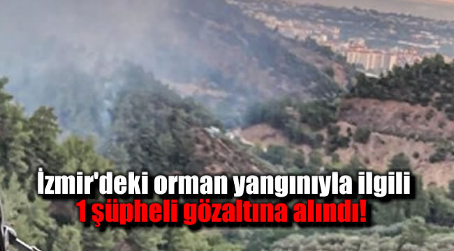İzmir'deki orman yangınıyla ilgili 1 şüpheli gözaltına alındı