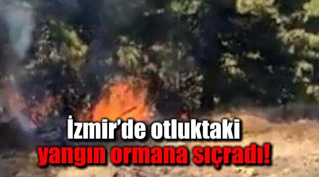 İzmir’de otluktaki yangın ormana sıçradı!