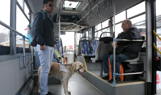 İzmir'de görme engellilere ulaşımda rehber köpek