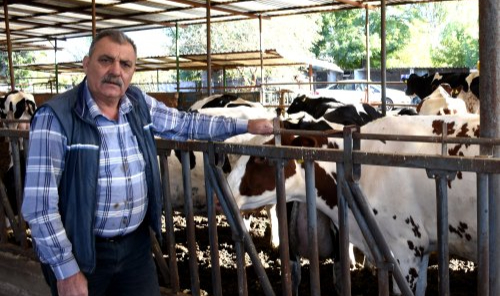 Tire Süt Kooperatifi Başkanı Eskiyörük: Bu Şartlarda Çiftçi Üretemez