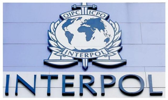 Türkiye-Interpol ilişkilerinde yeni dönem: Yeni bir sayfa açılmış oldu