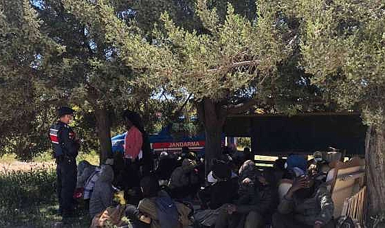 Çeşme'de 63 düzensiz göçmen yakalandı