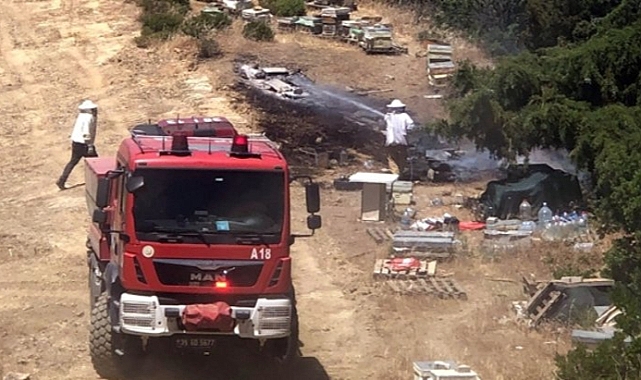 İzmir Güzelbahçe'de orman yangını