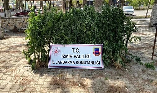 İzmir'de 8 ilçede uyuşturucu operasyonu