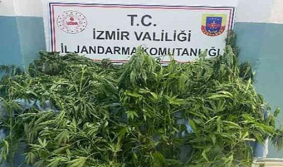 İzmir'de 8 ilçede uyuşturucu operasyonu