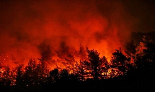 Orman yangınları ile ilgili mücadele devam ediyor