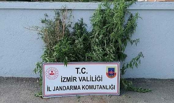 İzmir'deki uyuşturucu operasyonu