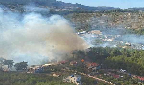 İzmir'de ormanlık alanda yangın 