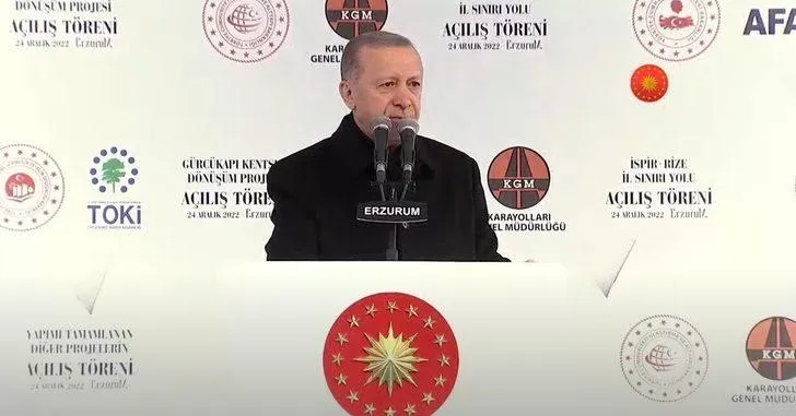 Cumhurbaşkanı Erdoğan'dan Karadeniz gazıyla ilgili açıklama!