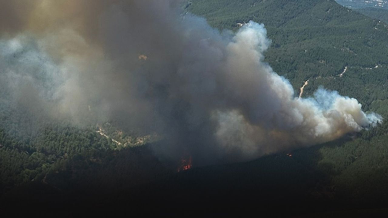 Bergama'daki orman yangınında 2'nci gün