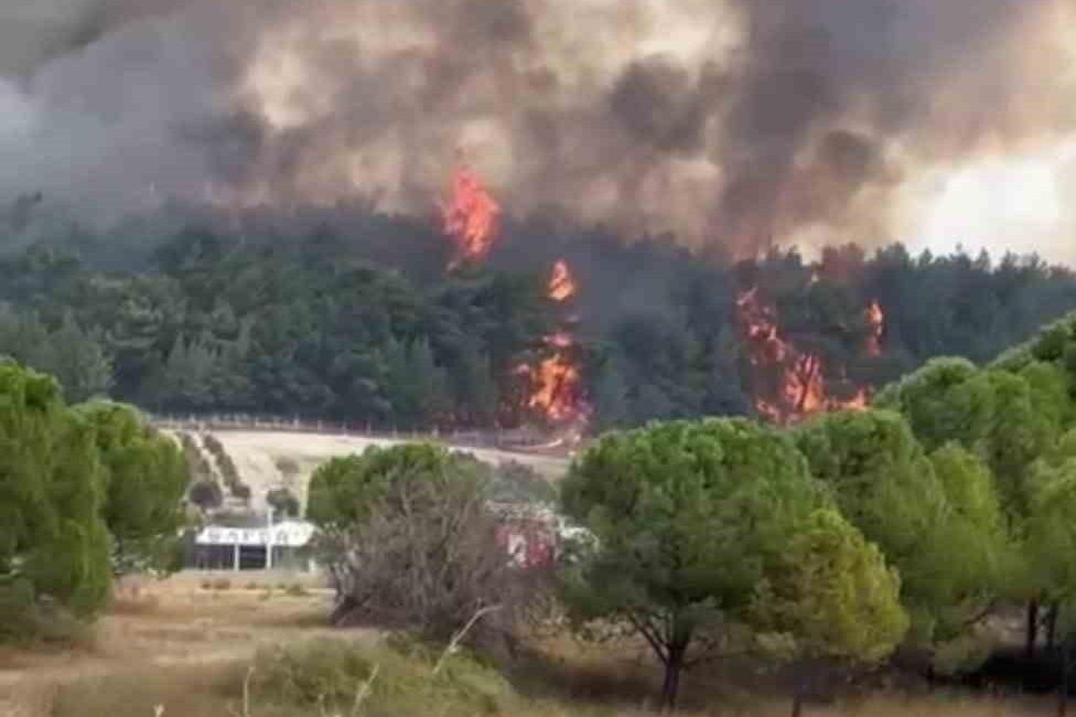 İzmir’deki orman yangınına havadan ve karadan müdahale